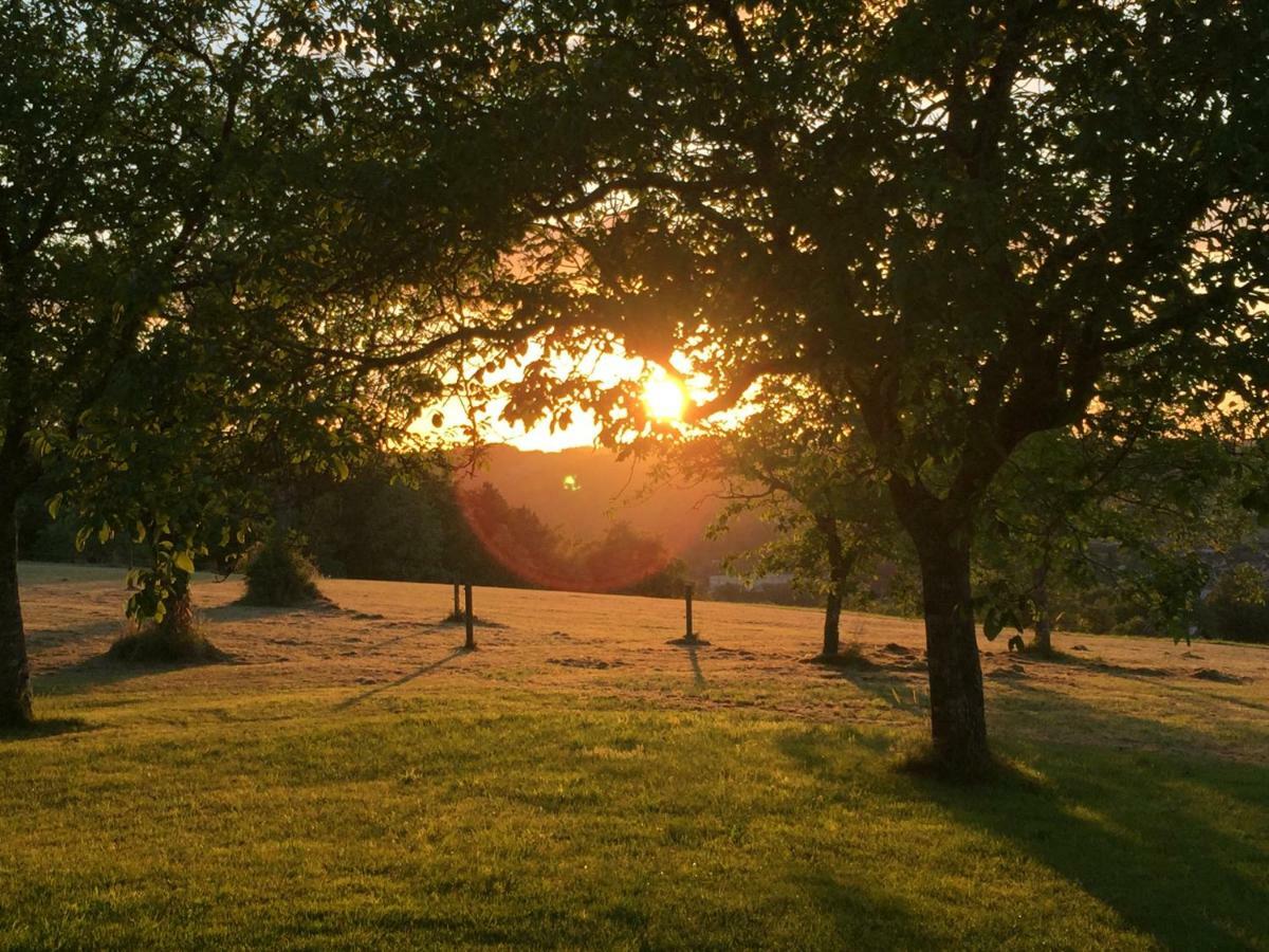 Domaine De Lascaux Bed & Breakfast มงทิญญัก ภายนอก รูปภาพ