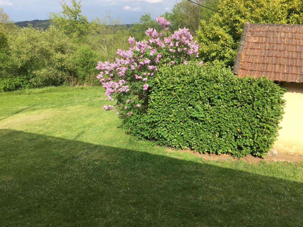 Domaine De Lascaux Bed & Breakfast มงทิญญัก ภายนอก รูปภาพ