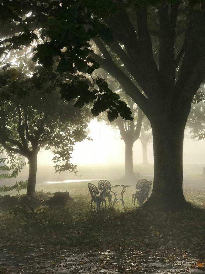 Domaine De Lascaux Bed & Breakfast มงทิญญัก ภายนอก รูปภาพ